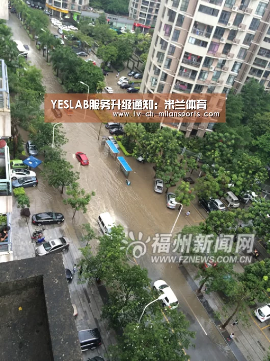 YESLAB服务升级通知:米兰体育(图1) 米兰体育